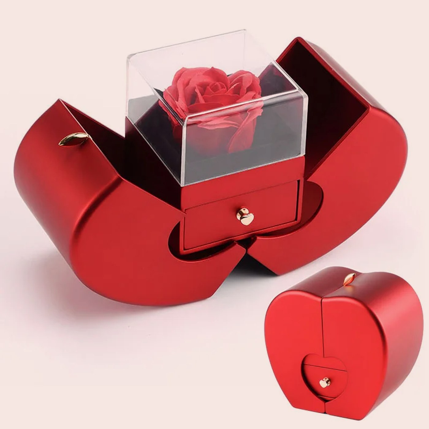 Descubre la rosa